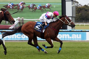 Famous Seamus (NZ) victorious in the Group 3 Kevin Heffernan Stakes.